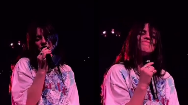 Billie Eilish Struck in the Face During Concert, Fans Call for Better Concert Etiquette