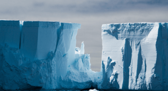 World’s Largest Iceberg A23a Drifts After 30 Years, Raising Scientific Curiosity