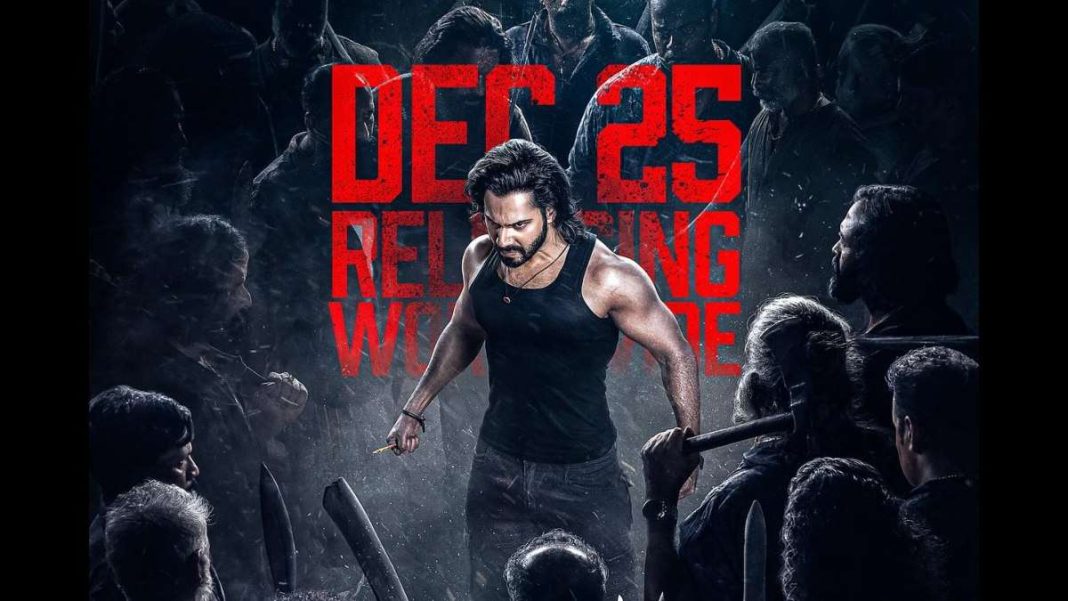 Made At Budget Of Rs. 170 Crore, Baby John Struggles at Box Office Finally Crosses ₹35 Crore On Day 8