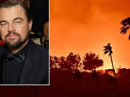 Leonardo DiCaprio Announces Donation Of USD 1 Million For LA Wildfire Relief