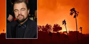 Leonardo DiCaprio Announces Donation Of USD 1 Million For LA Wildfire Relief