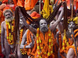 Maha Kumbh 2025: Everything you need to know about cultural events