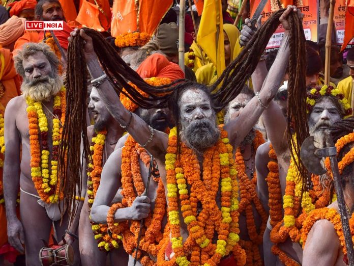 Maha Kumbh 2025: Everything you need to know about cultural events