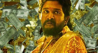 Pushpa 2 Hindi Box Office: Allu Arjun Starrer Outshines Most Films But Falls Short of Stree 2 in One Key Metric