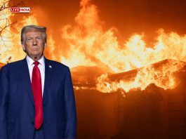 Trump Blames California Governor Gavin Newsom for Wildfire Crisis Amid Massive Destruction