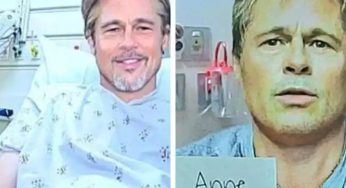 French Woman Loses €800,000 After Falling For Fake Brad Pitt Romance Scam