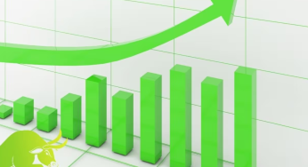 Sensex, Nifty 50 Poised for Gains Amid Economic Survey 2025 Anticipation