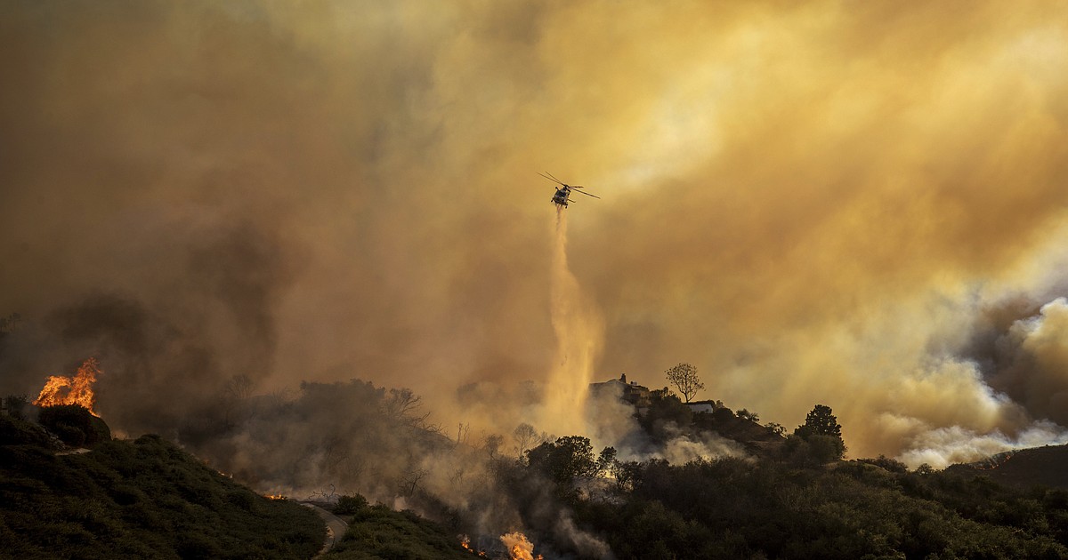 Unstoppable, Wolf Man Premiere Cancelled Due To Pacific Palisades Wildfire In LA