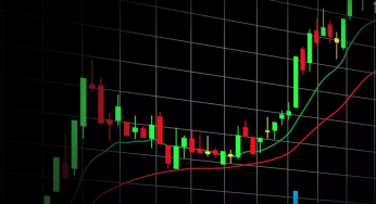 Nifty 50 and Sensex Surge for Second Day, Smallcaps Lead the Rebound