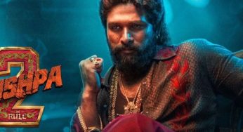 Pushpa 2: The Rule Becomes First Hindi-Dubbed Film to Cross ₹800 Crore in India