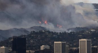 Los Angeles Wildfire Survivors Patrol Streets to Deter Looters Amid Chaos