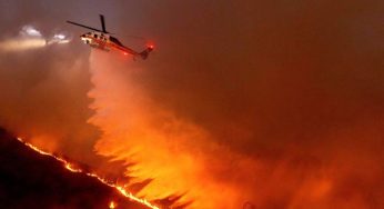 LA Wild Fires Rage On: Leave 24 Dead, Trigger Fire Tornadoes Amid Catastrophic Blaze