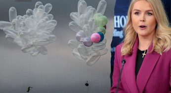US Press Secretary Slams ‘Preposterous’ $50 Million Gaza Condom Funding