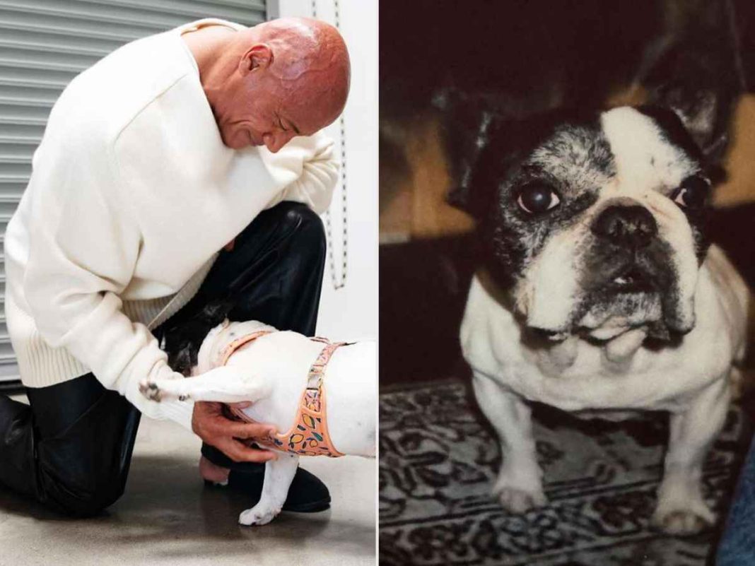 Dwayne Johnson Mourns The Loss Of His Beloved Dog Hobbs