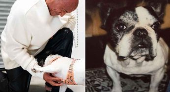 Dwayne Johnson Mourns The Loss Of His Beloved Dog Hobbs