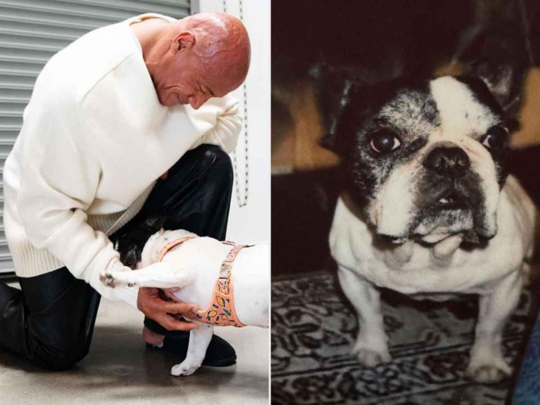 Dwayne Johnson Mourns The Loss Of His Beloved Dog Hobbs