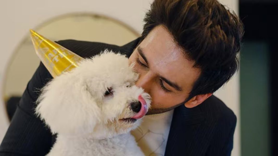 Kartik Aaryan Shares Adorable Video Of Him Playing With His Pet Katori
