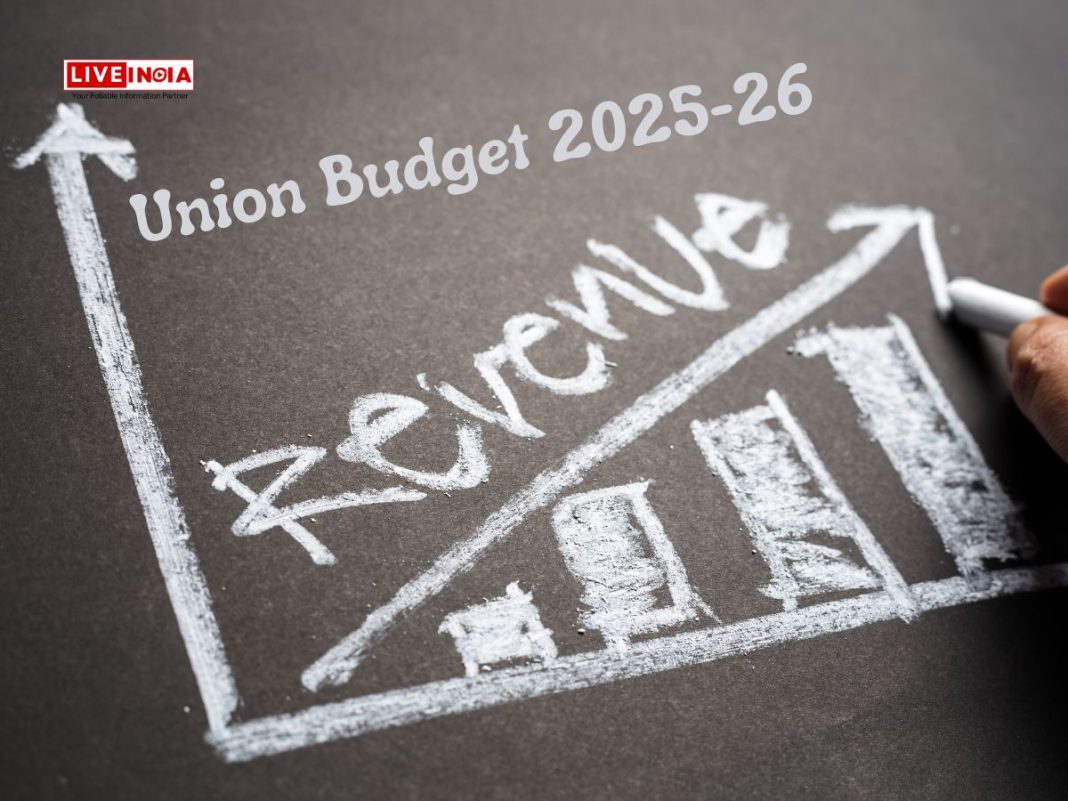 Union Budget 2025-26: Borrowing Leads Government Revenue, Income Tax Second Largest Contributor