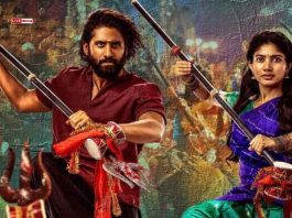 ‘Thandel’ Box Office Day 17: Naga Chaitanya-Sai Pallavi Starrer Gains Momentum with 14% Weekend Uptick