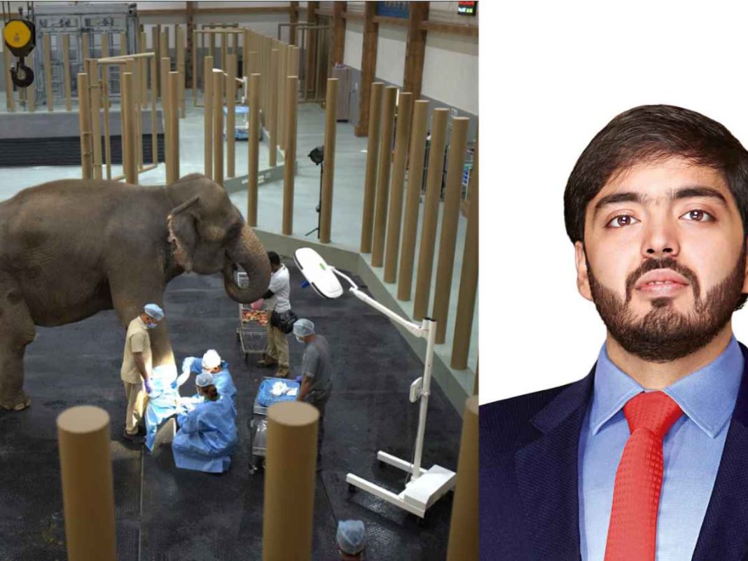 Anant Ambani's Vantara Wins 'Prani Mitra' National Award For Exceptional Elephant Welfare Contributions