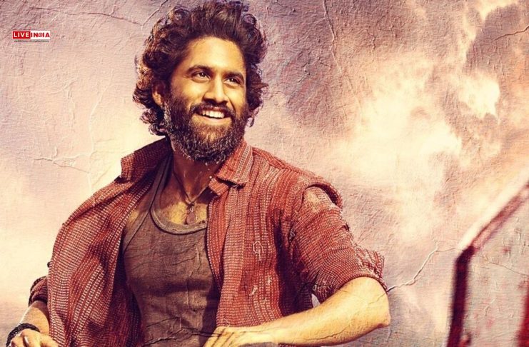 ‘Thandel’ Worldwide Box Office Day 13: Naga Chaitanya-Sai Pallavi Starrer Breaks Even Nears ₹100 Crore Mark