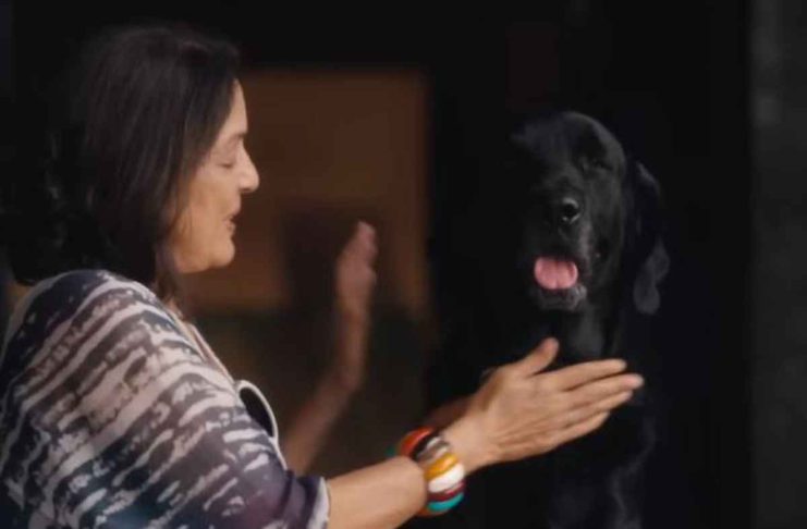 "Dil Dosti Aur Dogs": Viral Shah’s Upcoming Film's Trailer Explores The Bond Between Humans And Dogs, Take A Look