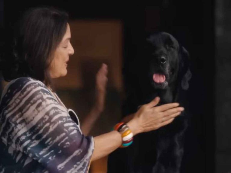 "Dil Dosti Aur Dogs": Viral Shah’s Upcoming Film's Trailer Explores The Bond Between Humans And Dogs, Take A Look