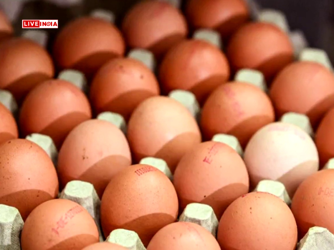 U.S. 1 Lakh Eggs Worth $40,000 Stolen in Pennsylvania Amid Severe Egg Shortage