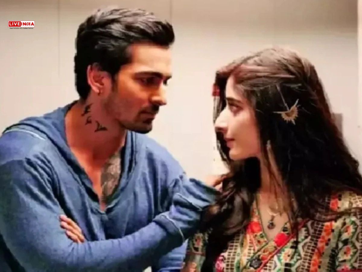 ‘Sanam Teri Kasam’ Re-Release Box Office Day 11: ₹50 Crore a Cakewalk Now!