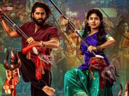 'Thandel’ Box Office Day 14: Naga Chaitanya’s Film Crosses ₹60 Crore in India, Crosses ₹100 Worldwide