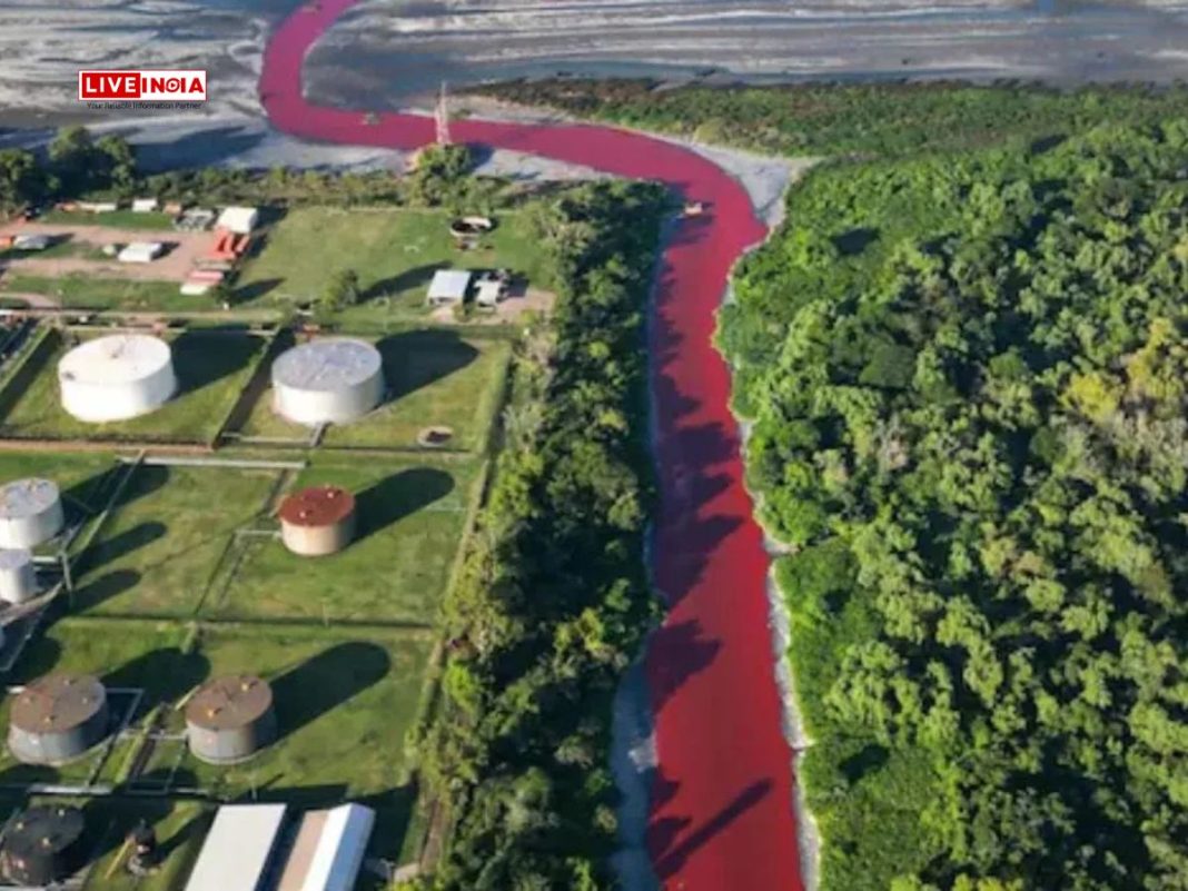 Mystery in Buenos Aires: Sarandi Canal Turns Blood Red, Residents Alarmed-Watch