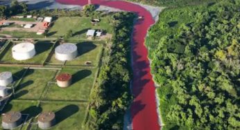 Mystery in Buenos Aires: Sarandi Canal Turns Blood Red, Residents Alarmed-Watch