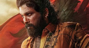 Pushpa 2’s Final Box Office Collection Announced: Makers Declare It an Industry Hit!