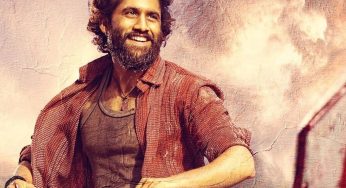 ‘Thandel’ Worldwide Box Office Day 13: Naga Chaitanya-Sai Pallavi Starrer Breaks Even Nears ₹100 Crore Mark