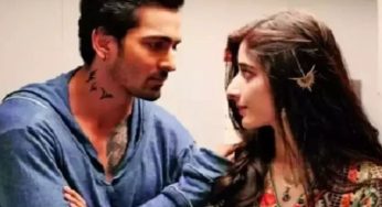 ‘Sanam Teri Kasam’ Re-Release Box Office Day 11: ₹50 Crore a Cakewalk Now!