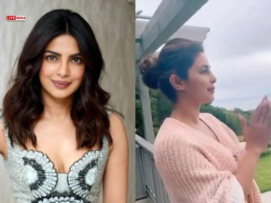 YouTuber Calls Out Priyanka Chopra's Response During COVID Lockdown; Reddit Backs the Actor