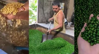 Artificial Colours in Green Peas Exposed: Viral Video Sparks Social Media Frenzy