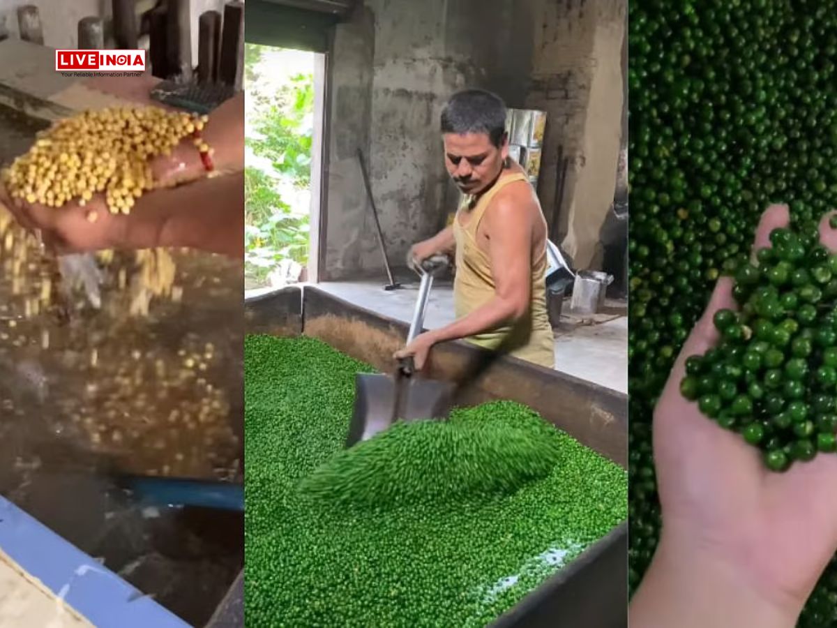 Artificial Colours in Green Peas Exposed: Viral Video Sparks Social Media Frenzy
