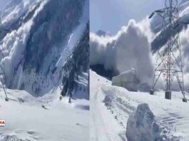 Massive Avalanche Strikes Sonmarg, No Casualties Reported