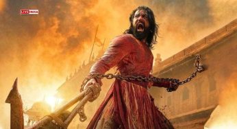 Chhaava Box Office: Vicky Kaushal’s Epic Nears ₹605 Cr, But Fails To Dethrone Stree 2