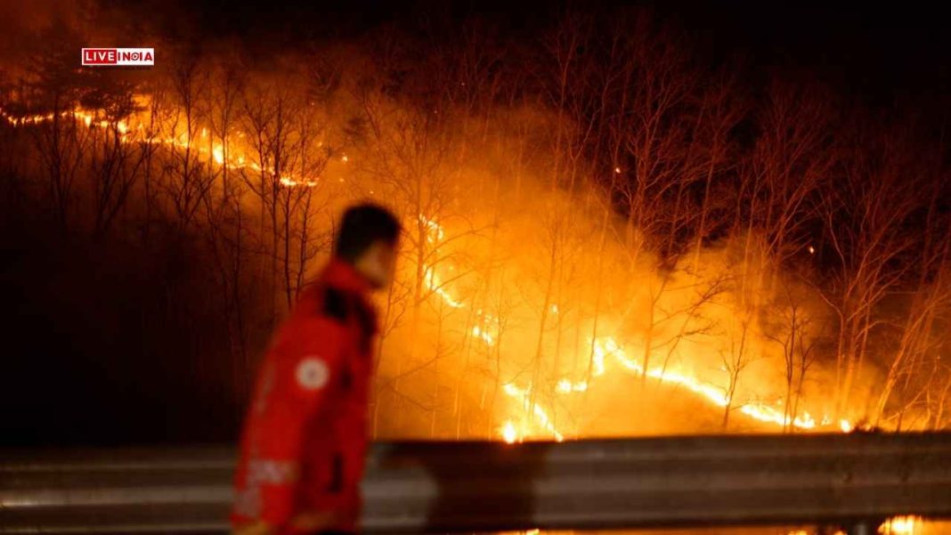 South Korea Battles Worst Wildfire in History: 27 Dead, Over 35,000 Hectares Burnt