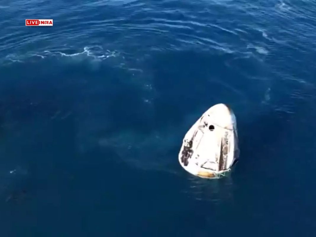 Dolphins Greet Sunita Williams as SpaceX Dragon Brings Crew-9 Back to Earth-Watch