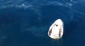 Dolphins Greet Sunita Williams as SpaceX Dragon Brings Crew-9 Back to Earth-Watch