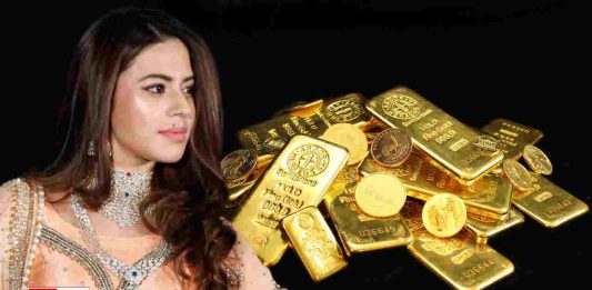 Kannada Actor Ranya Rao Granted Conditional Bail in Gold Smuggling Case, Remains in Jail Under COFEPOSA