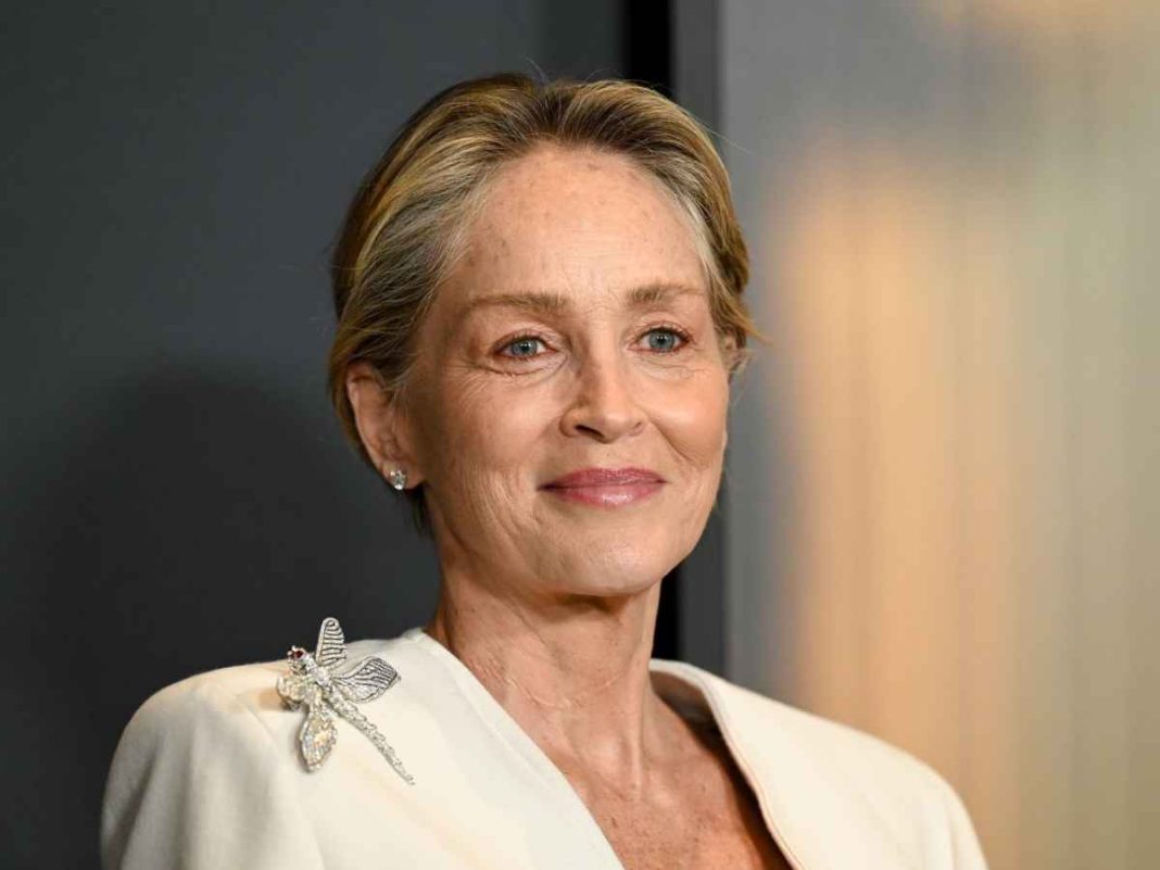 Sharon Stone Reveals She Was 'Cast' And Then 'Dropped' From Paul Feig's 'Another Simple Favor'