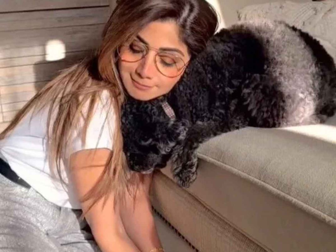 Shilpa Shetty Shares Heartwarming Moment with Her Pet Dog Truffle