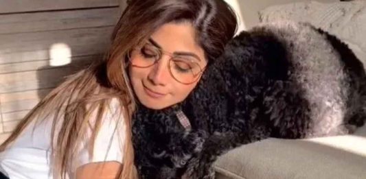 Shilpa Shetty Shares Heartwarming Moment with Her Pet Dog Truffle