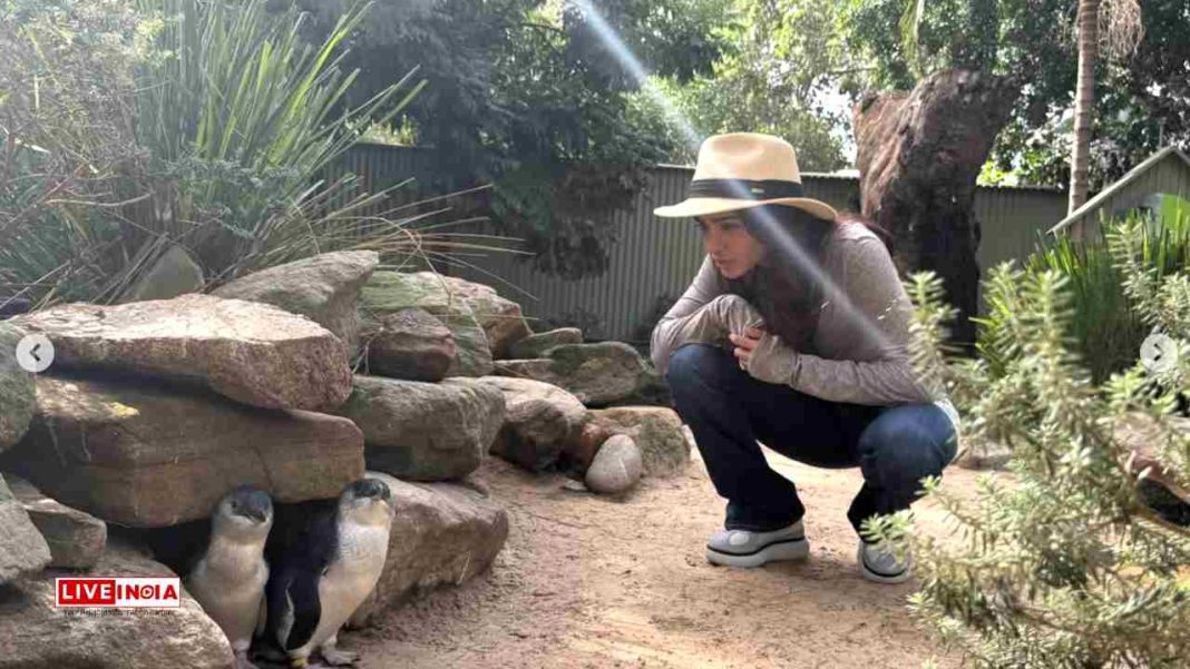 Samantha Ruth Prabhu Spends Serene Day with Kangaroos and Koalas at Featherdale Wildlife Park