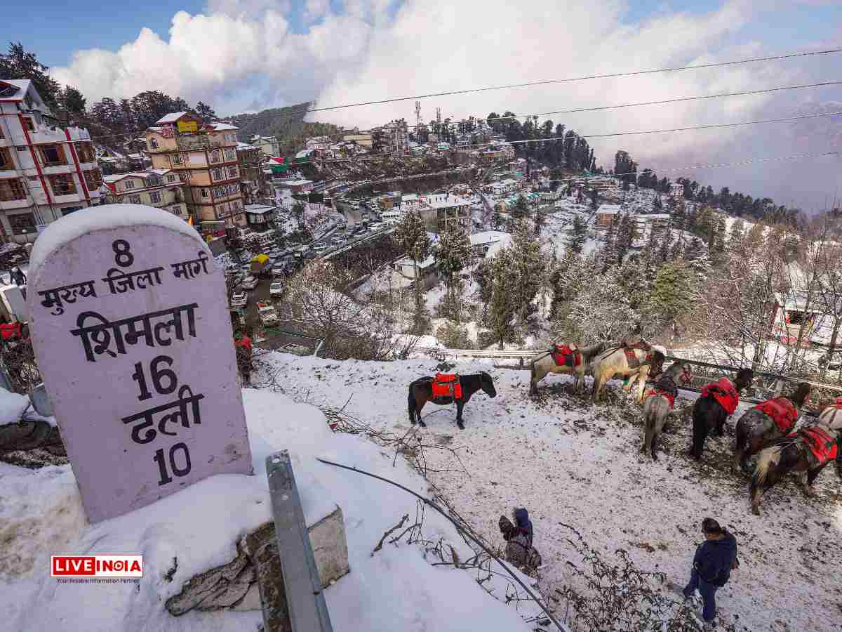 Himachal Braces for Another Cold Spell as Heavy Rain & Snow Return After March 3
