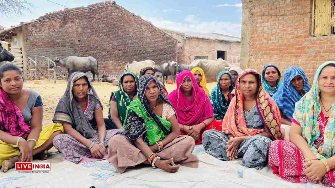 Over 30.68 Crore Unorganised Workers Registered on e-Shram Portal, Majority Female